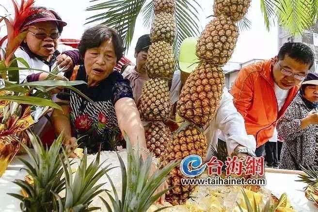 台湾凤梨“价崩”,82岁老农赔千万,追问原因:眼泪要下来了