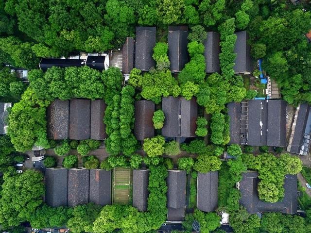 杭州这几个性价比超高的景点, 统统免费, 你去过几个?