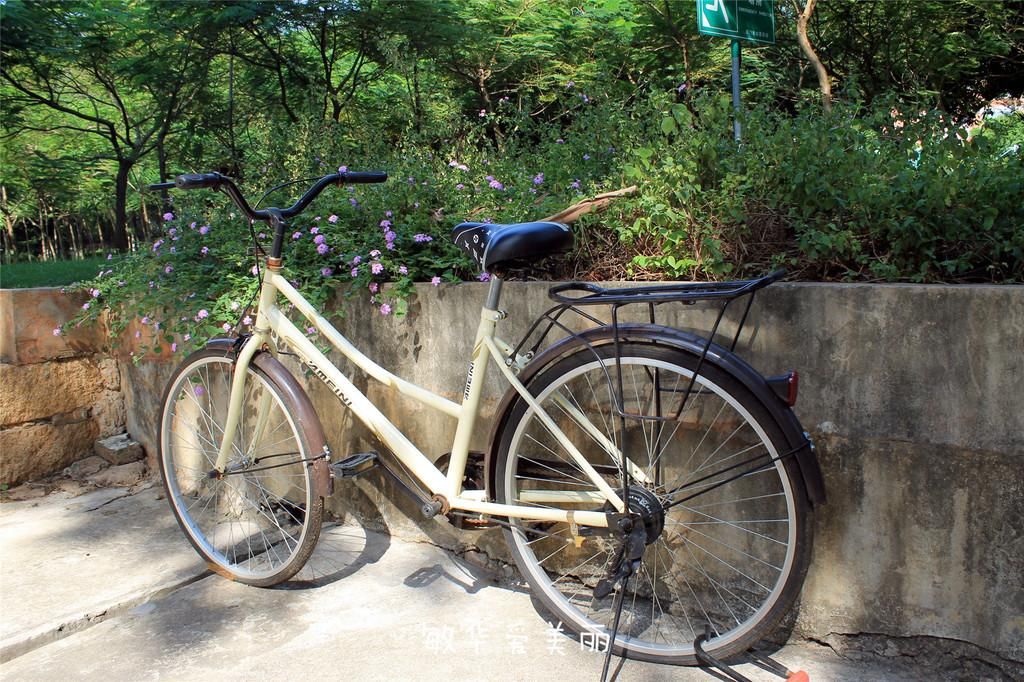 厦门市十五届人大五次会议