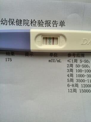 t010ce2ee534bed2d54.jpg
