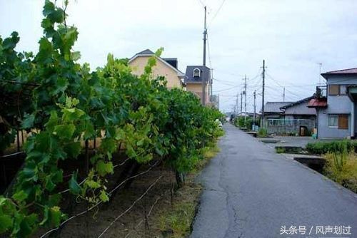 实拍日本底层农村，宁静整洁