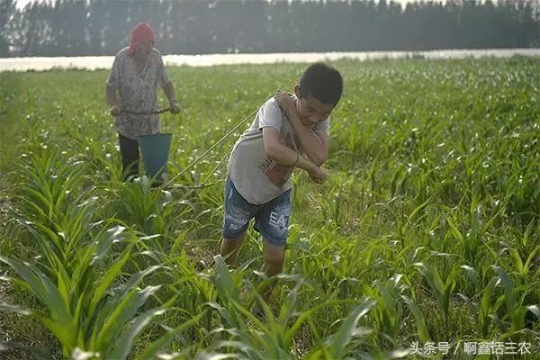 话题农村新出三个怪现象，每个村都会有，但都是睁一只眼闭一只眼