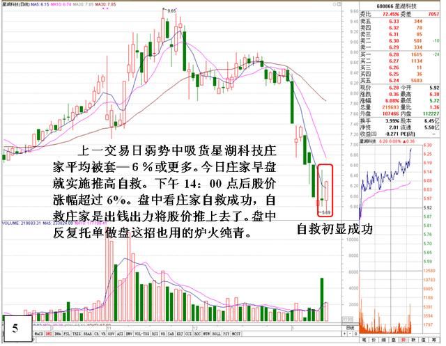 中国股市真正“失控”原因大公开：谁来保护弱小的中小投资者？