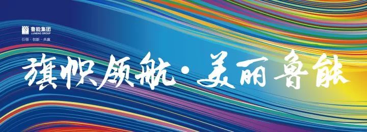 2018年鲁能新能源(集团)有限公司青海分公司第