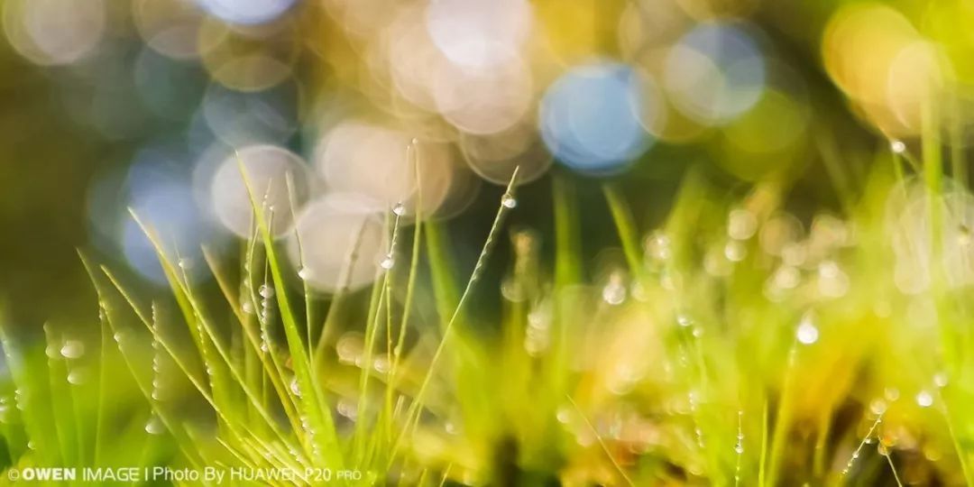 华为P20摄影技巧大全 手机摄影必看的教程