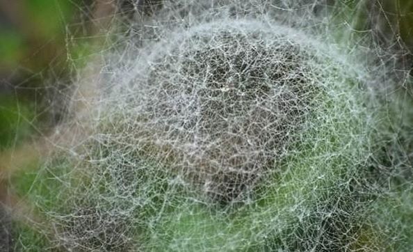 湖北什么时候地震后