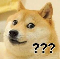 表情包鼻祖"柴犬