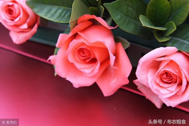 有一种缘分,叫有缘无分;有一种爱情,叫错爱一生