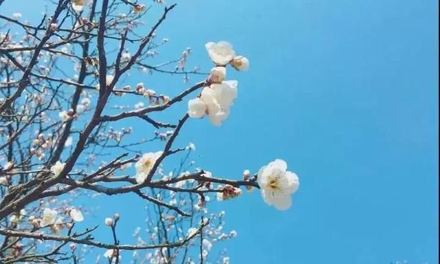 今夜冷暖气流再度交汇，下雨降温卷土再来！别担心，还有一个好消