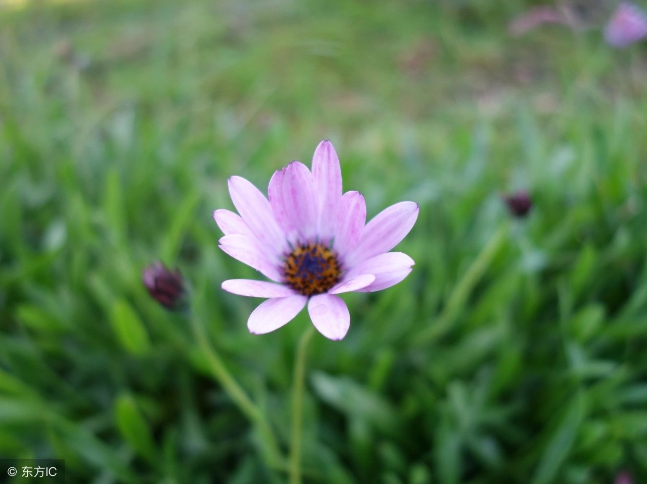 t010e1d9ea0f9420dc3.jpg