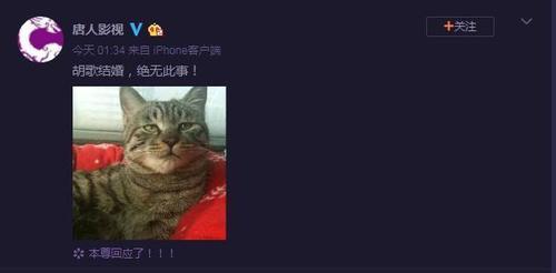 胡歌结婚了?唐人霸气回应,网友:赔我哥媳妇_【