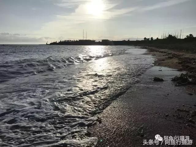 游记山东青岛、威海、济南