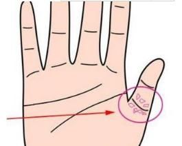 千万注意了,手上有财富纹的人,必定近贵得财