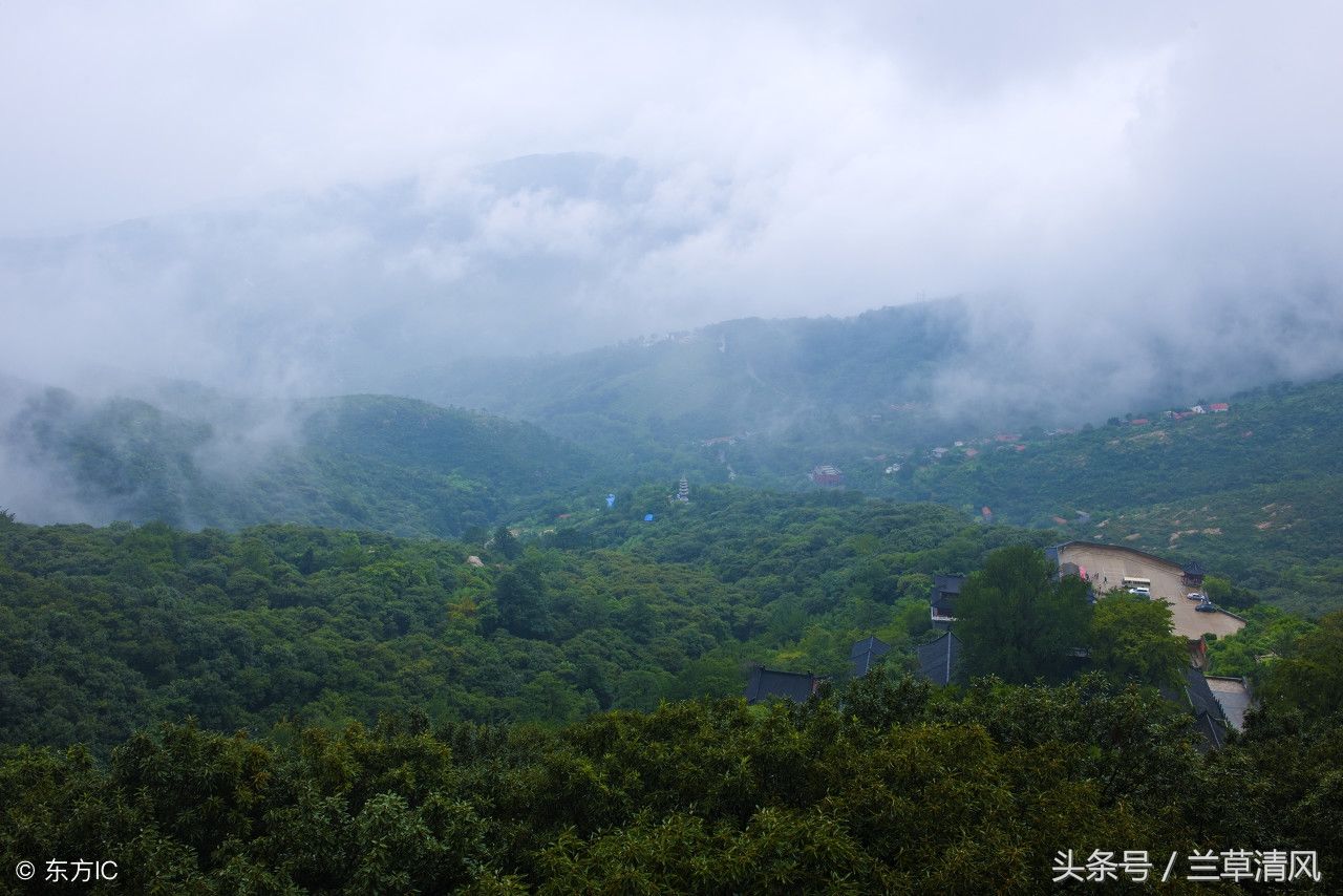 板浦镇人口_板浦镇副书记陈云