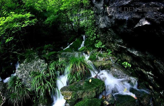 安徽洞穴探险队--探秘六百丈洞穴,发现神秘生物巢穴