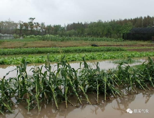 今年第8号台风玛利亚来势汹汹!