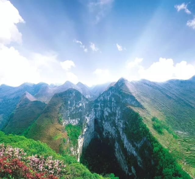 不小心惊艳了世界