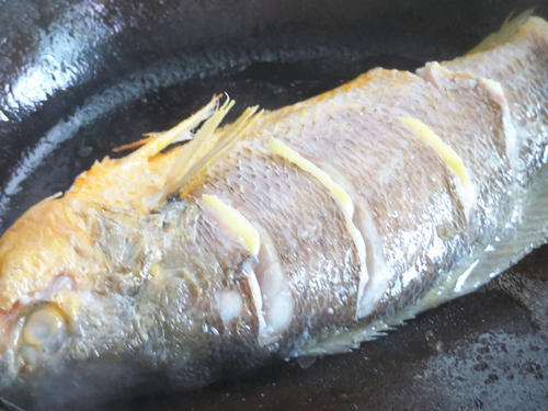 t010f39141252039cbd.jpg