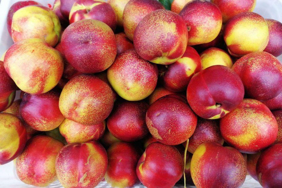 离核桃10元3斤 鲜枣一盒3斤100元 水果店水果