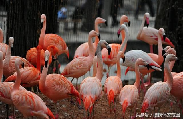 北京除了故宫天安门，这些地方也会让你不虚此行