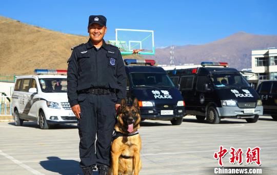 忠诚守护雪域高原的“警犬汪”