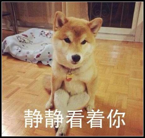 表情:我都找描述表情来不到表情了心情包揉动态揉头图片