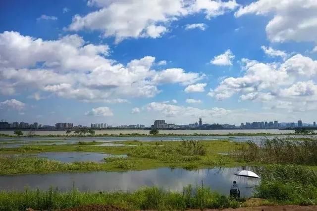 话题:外国人A股开户今松绑 五年前松绑的基金