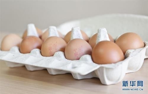 鸡蛋能生吃吗?一周最多能吃几个?最新鸡蛋食