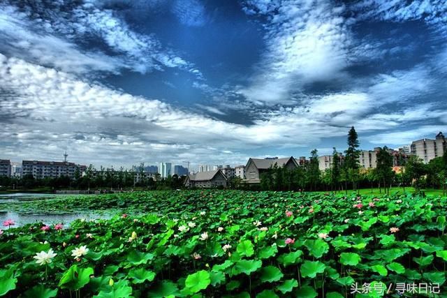 宁波日湖边知道吃什么吗？繁花里来告诉你