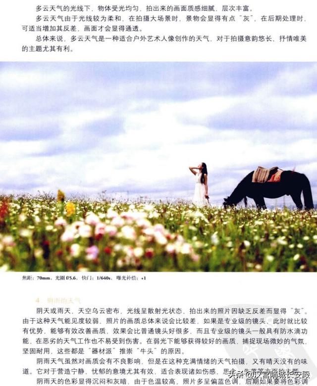 t0110979096ad9ac66d.jpg