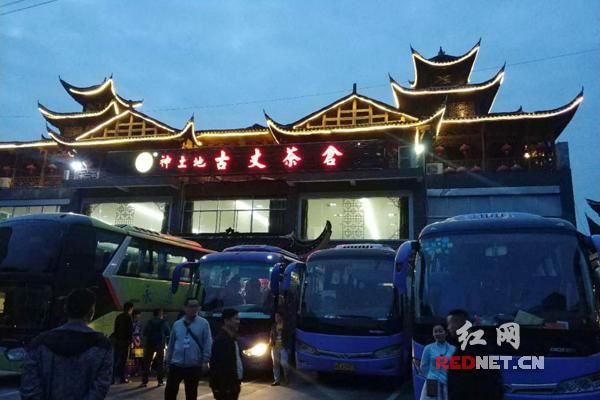 采春茶游苗寨 古丈茶旅正当时