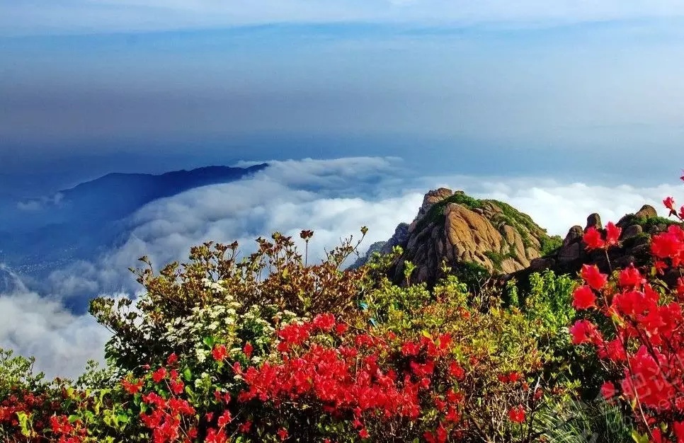 重磅!2017安徽县域经济竞争力排行榜出炉!看看