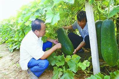 它是大肚腩的“救星”，每天一杯，刮油减脂，体重悄悄降到两位数