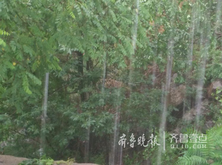 什么是倾盆大雨?今天的济南就是这样子