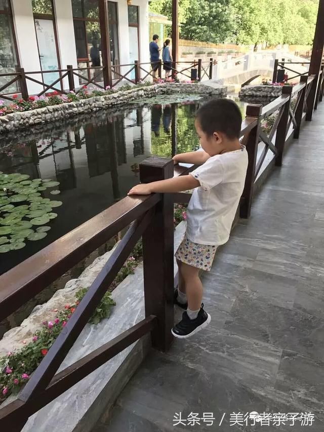 独家｜五一不涨价！人均200+，即可入住长城边儿上的荷塘月色！