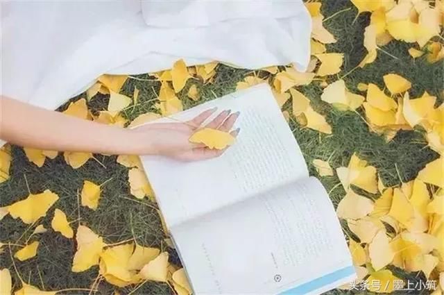 什么是理解？