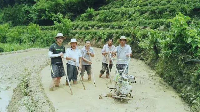 陕西 | 村子里飞来一群特殊的鸟，背后的故事意味深长……