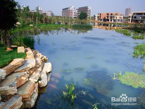 优秀大学生主要事迹怎么写