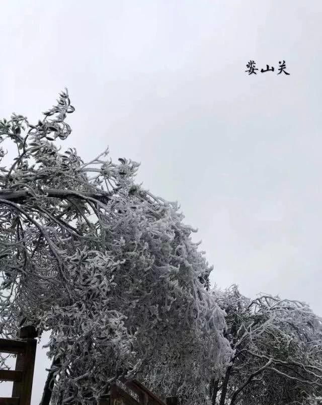 这是贵州最全的冰雪景观！美得有点猝不及防……