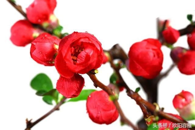 2018年，好好过，缘来就珍惜，缘走就祝福，别难为自己