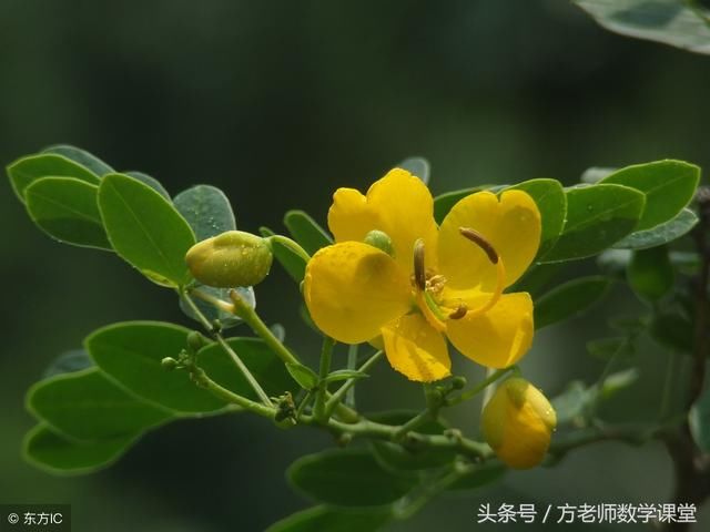 方老师信箱:孩子初一数学成绩不好?有没有诀窍