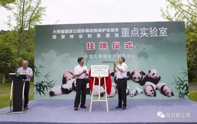 6月19日,继清华大学电子商务交易技术国家工程实验室、都江堰市人民政府联合多家机构成立都江堰电子商务学院后,大熊猫国家公园珍稀动物保护生物学国家林业和草原局(国家公园管理局)重点实验室(中国大熊猫保护研究中心)正式在都江堰市挂牌成立了,又为成都世界旅游名城增添了一张大熊猫国字号招牌。 据悉,该实验室正式挂牌成立让都江堰市这座本来与大熊猫有着深厚情缘的城市,在大熊猫科研、保护、文化推广等方面大踏步向前迈进。 话渊源 大熊猫国家公园和都江堰的故事 作为大熊猫生活繁殖的天然走廊,都江堰市于2006年被