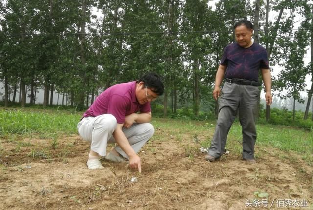 在农村赢得尊重，需要付出多大的努力，怎么做才能出力又讨好呢?