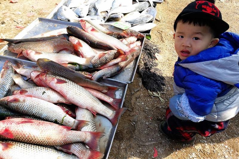 开凌梭统领青岛新春海鲜市场 海带也成主打海鲜 真正物美价廉