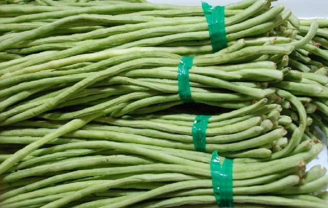 豆角原来也有禁忌啊!