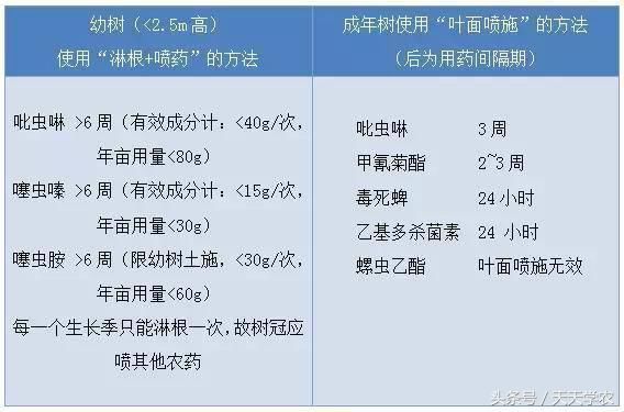 鸡粪、猪粪盐分大，果农怎么施？砂糖橘开花前施肥有什么讲究？