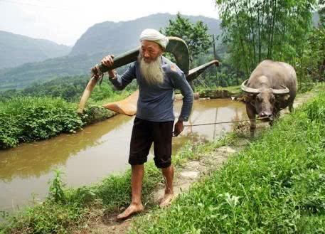 农民收入提高,手里有15万存款,却不敢称有钱人,日子过得很拮据