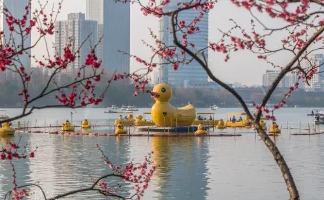 南京玄武春季赏花地图！赶紧来一场和花的约会吧~