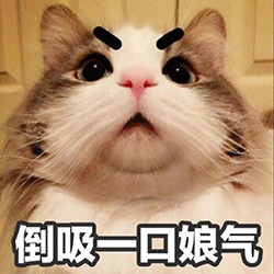 微信发 动图 默认变为 表情 动物趣视为本期图片做了 (250x250)