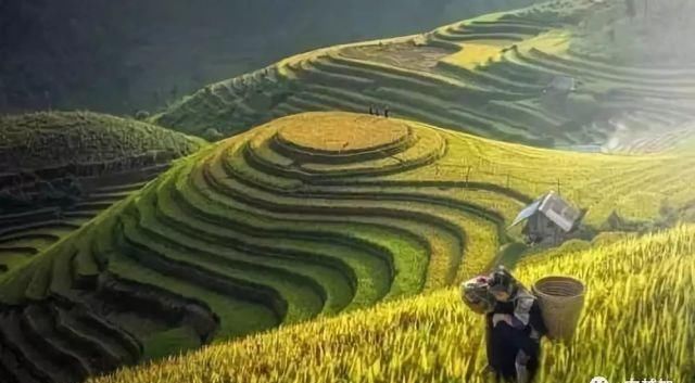 军事机场军事机场